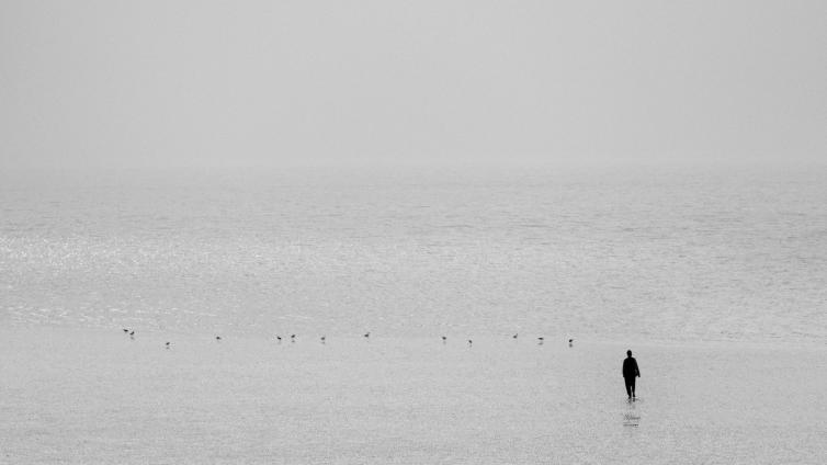 Person standing at the edge of water looking at birds